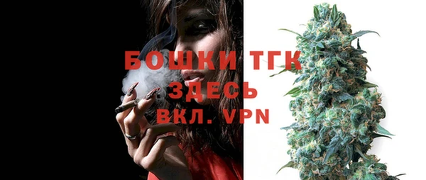 хмурый Покачи