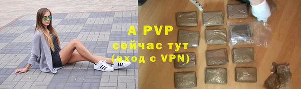 хмурый Покачи