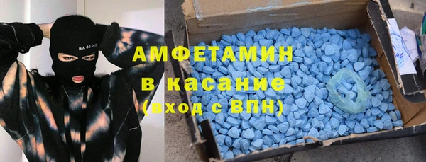 твердый Бородино