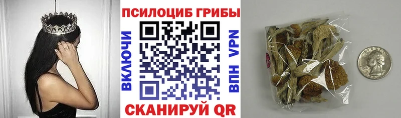 Галлюциногенные грибы мицелий  как найти наркотики  Сертолово 
