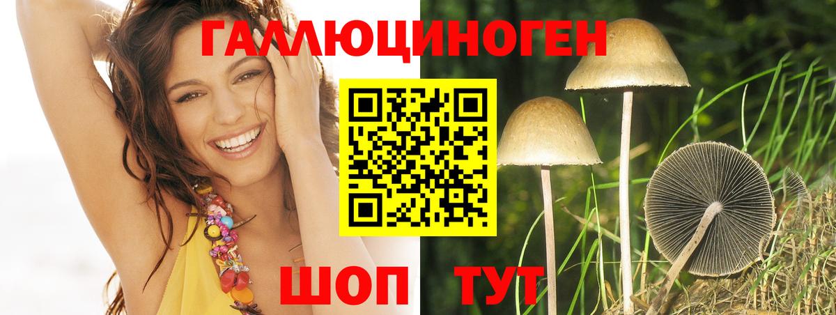 Псилоцибиновые грибы мицелий  Галлюциногенные грибы мицелий  Сертолово  Вход с VPN 