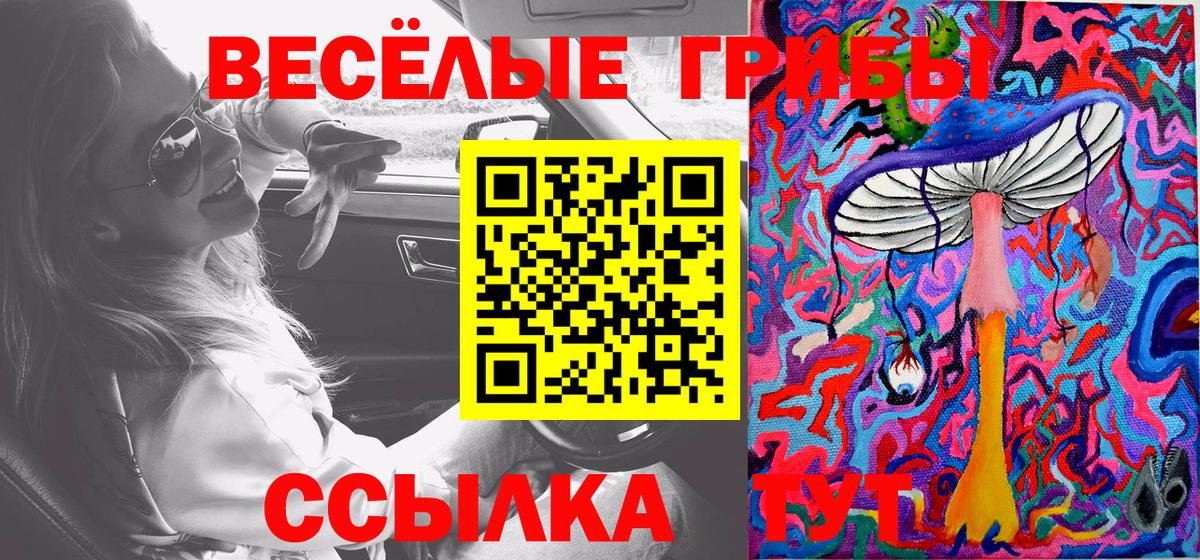 Псилоцибиновые грибы мухоморы Сертолово